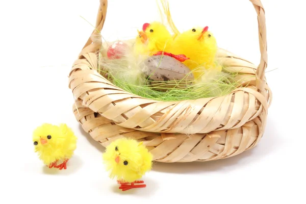 Easter chickens in wicker basket on white background — Stock Photo, Image