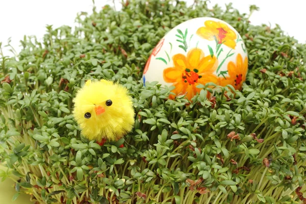 Galinha de Páscoa e ovo pintado em agrião verde fresco — Fotografia de Stock