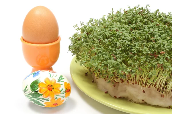 Huevo de Pascua pintado y fresco con berro verde. Fondo blanco — Foto de Stock