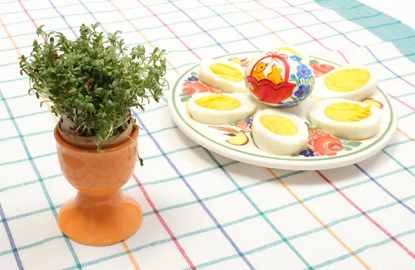 Berro en cáscara de huevo y mitades de huevos en plato colorido —  Fotos de Stock