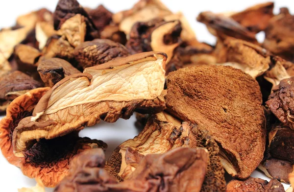 Heap of dried mushrooms on white background — Stock Photo, Image