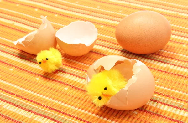 Easter chickens with broken eggshell and fresh egg — Stock Photo, Image