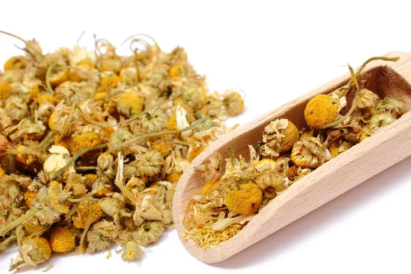 Heap of dried camomile on wooden spoon — Stock Photo, Image