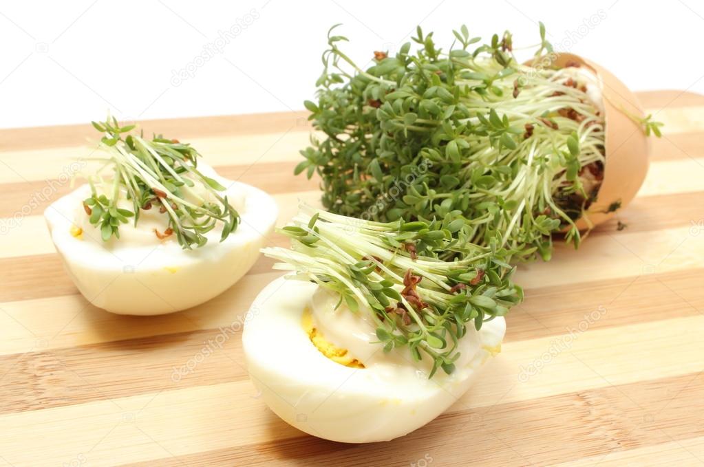 Halves of egg with mayonnaise and fresh cress Stock Photo by ©ratmaner