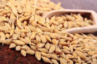 Arpa buğday tahta kaşıkla yığını