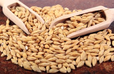 Arpa buğday tahta kaşıkla yığını