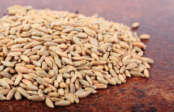 Montón de grano de centeno orgánico —  Fotos de Stock