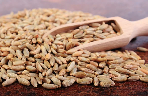 Montón de grano de centeno con cuchara de madera —  Fotos de Stock