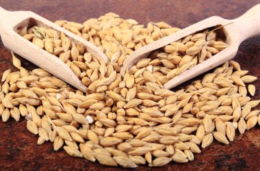 Arpa buğday tahta kaşıkla yığını