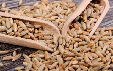 Ahşap zemin üzerine kaşıkla çavdar tahıl