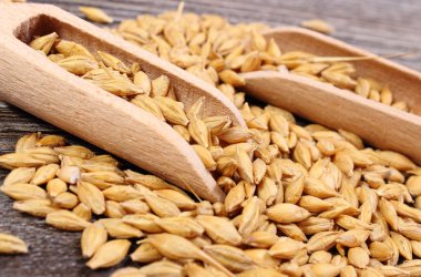 Arpa buğday ahşap zemin üzerine kaşıkla