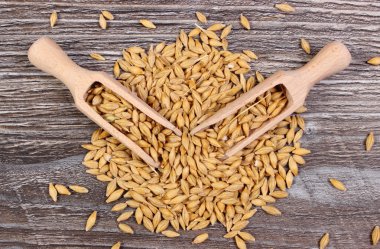 Arpa buğday ahşap zemin üzerine kaşıkla