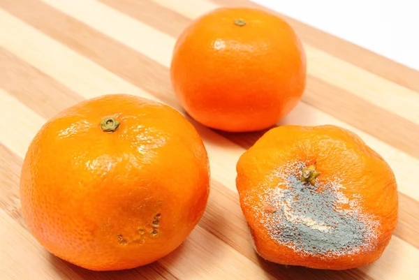 Mandarines fraîches et moisies sur fond en bois — Photo