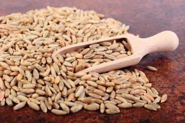 Çavdar tahıl tahta kaşıkla yığını