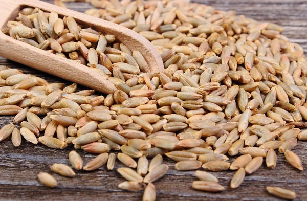 Ржаное зерно с ложкой на деревянном фоне — стоковое фото