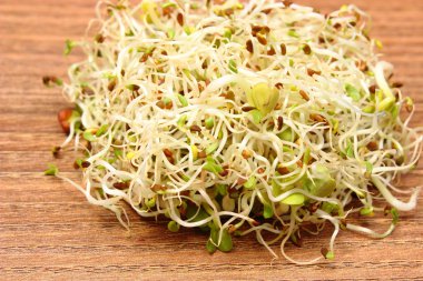 Yonca ve turp lahanası ahşap tablo