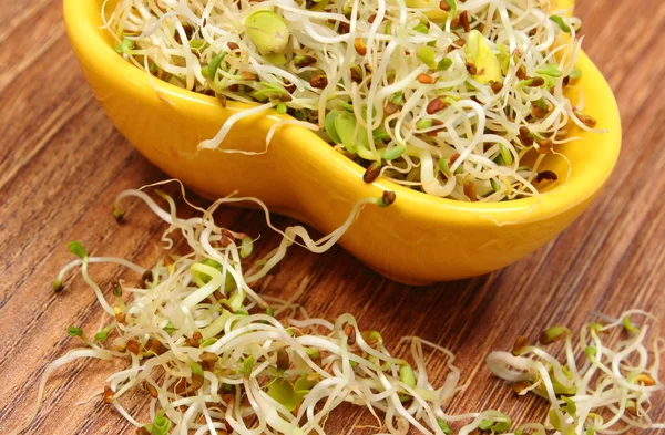 Tigela com alfafa e brotos de rabanete na mesa de madeira — Fotografia de Stock