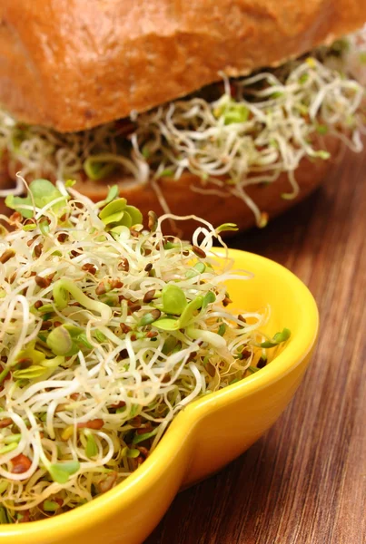 Alfalfa and radish sprouts with wholemeal bread roll — Stock Photo, Image