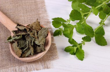 Beyaz ahşap masa, herbalism kaşık ile taze ve kuru Melisa