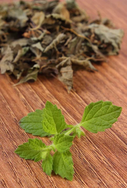 Frais et tas de mélisse séchée sur table en bois, herboristerie — Photo