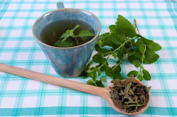 Dried and fresh lemon balm, cup of herbal beverage on tablecloth — Stock Photo, Image