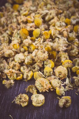 Vintage Fotoğraf, kurutulmuş papatya ahşap tablo, alternatif tıp