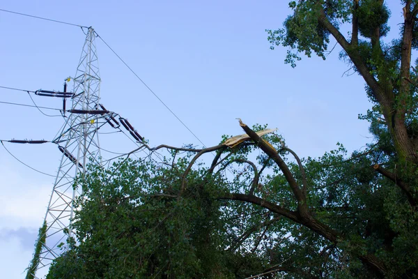 Arbre endommagé après tempête et pôle d'énergie haute tension — Photo