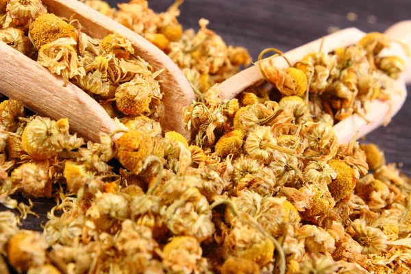 Dried chamomile on wooden table, alternative medicine — Stock Photo, Image