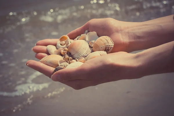 Vintage foto, conchas de mar en la mano de la mujer en la playa — Foto de Stock