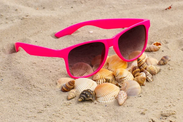 Heap de conchas e óculos de sol rosa na areia na praia — Fotografia de Stock