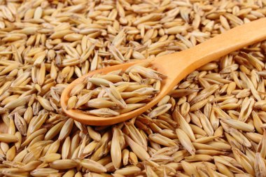 Organik yulaf taneleri tahta kaşıkla, sağlıklı beslenme