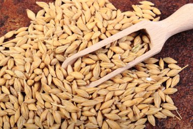 Arpa buğday tahta kaşıkla yığını