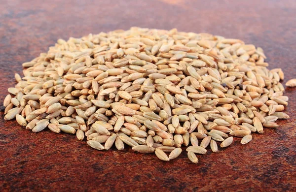 Куча органического ржаного зерна — стоковое фото