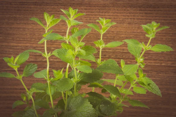 Foto vintage, Bálsamo de limón sano fresco, fondo de madera, herbalismo —  Fotos de Stock