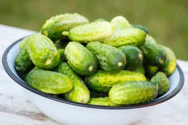 Güneşli Bahçe metal kapta salatalık