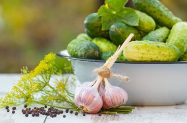 Salatalık metal kase ve güneşli günde bahçe salatalık dekapaj baharatlar