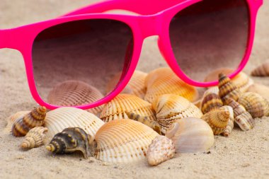 Yığın kabukları ve kum plaj üzerinde pembe güneş gözlüğü