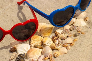 Yığın kabukları ve kum plaj üzerinde güneş gözlüğü