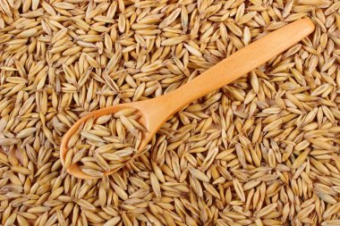 Organik yulaf taneleri tahta kaşıkla, sağlıklı beslenme