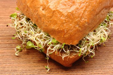 Kepekli ekmek rulo yonca ve turp filizi ile