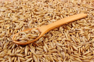 Organik yulaf taneleri tahta kaşıkla, sağlıklı beslenme