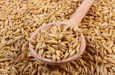 Organik yulaf taneleri tahta kaşıkla, sağlıklı beslenme