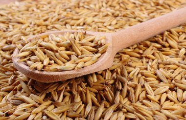 Organik yulaf taneleri tahta kaşıkla, sağlıklı beslenme