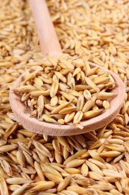 Organik yulaf taneleri tahta kaşıkla, sağlıklı beslenme