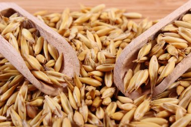 Organik yulaf taneleri üzerinde tahta kaşık, sağlıklı beslenme