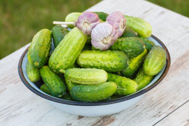 Salatalık ve güneşli Bahçe metal kapta sarımsak