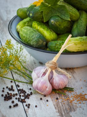 Salatalık metal kase ve güneşli günde bahçe salatalık dekapaj baharatlar