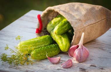 Jüt çanta, taze sarımsak ve güneşli masada dereotu salatalık