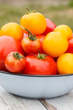 Güneşli Bahçe metal kapta domates