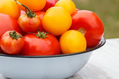 Güneşli Bahçe metal kapta domates